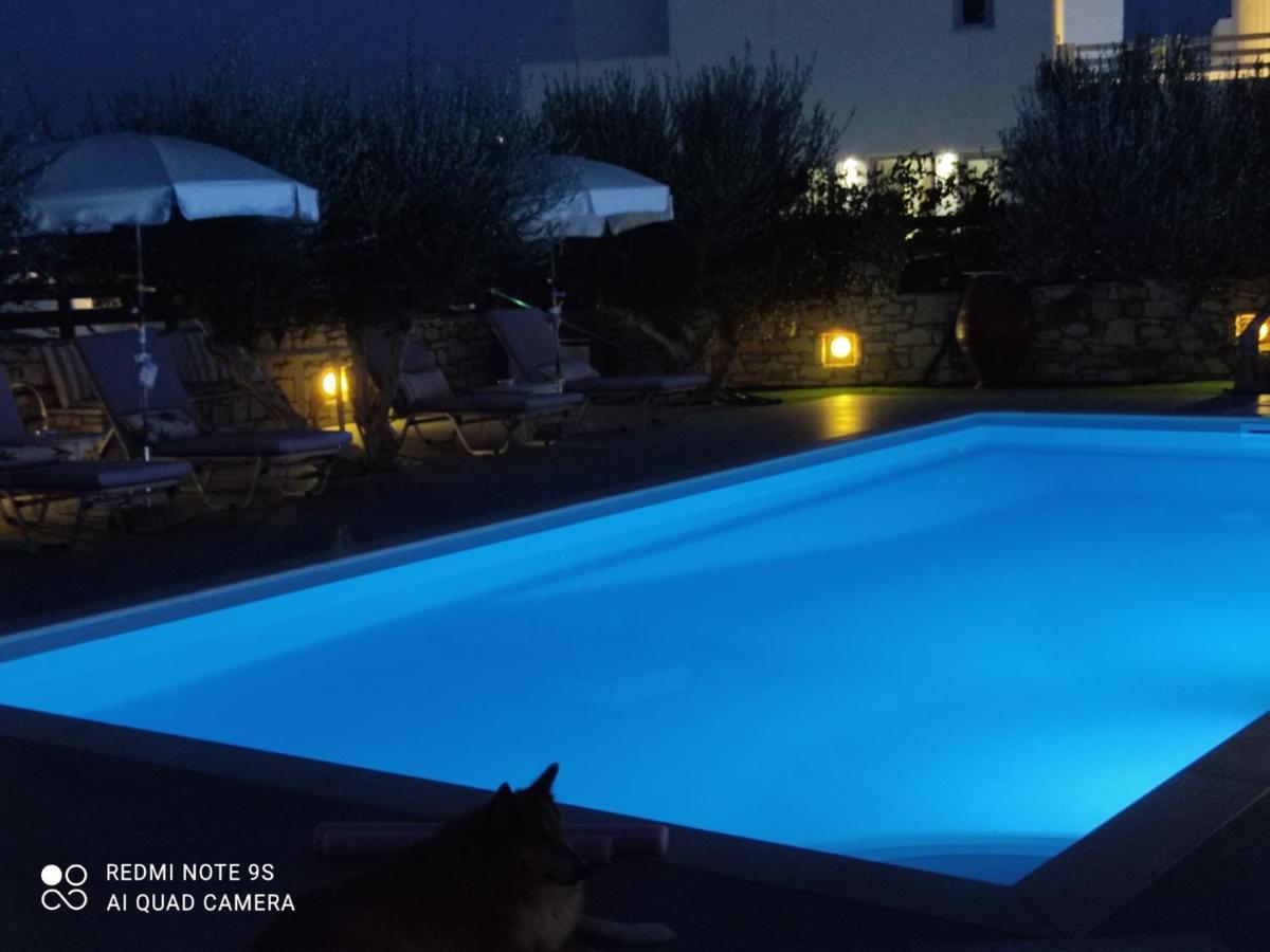 Sunset Studios And Apartments For Adults Over 21 Only Naoussa Esterno foto